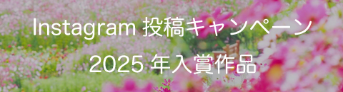 Instagram投稿キャンペーン