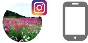 公式アカウントをフォロー！！