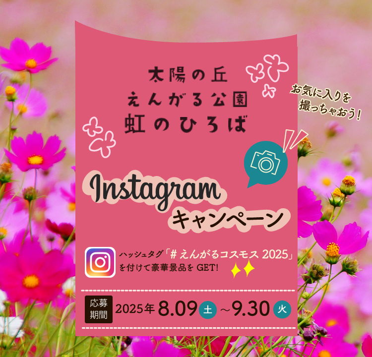 Instagramキャンペーン
