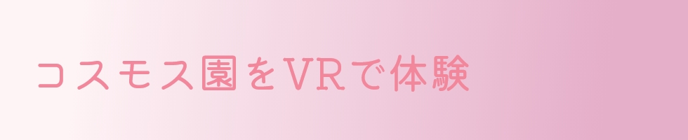 コスモス園をVRで体験