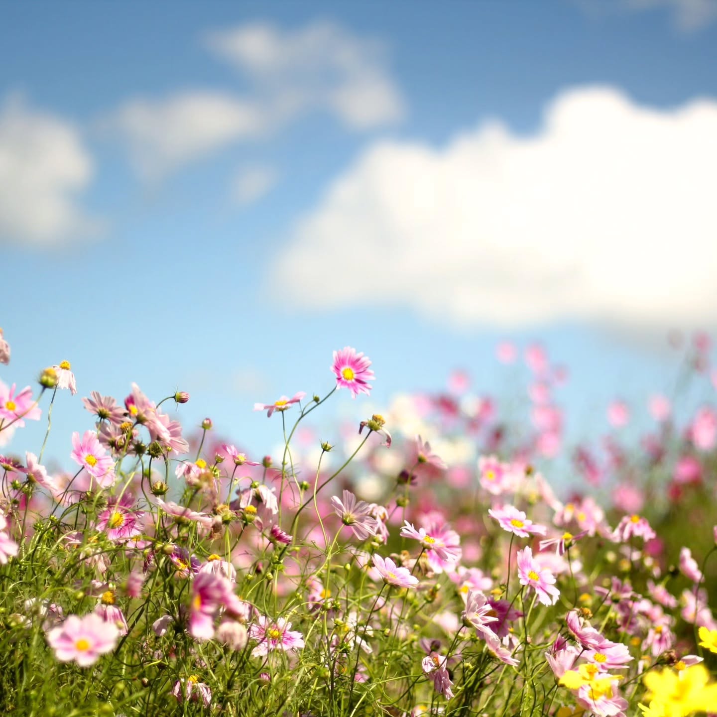 Instagramキャンペーン2025 優秀賞