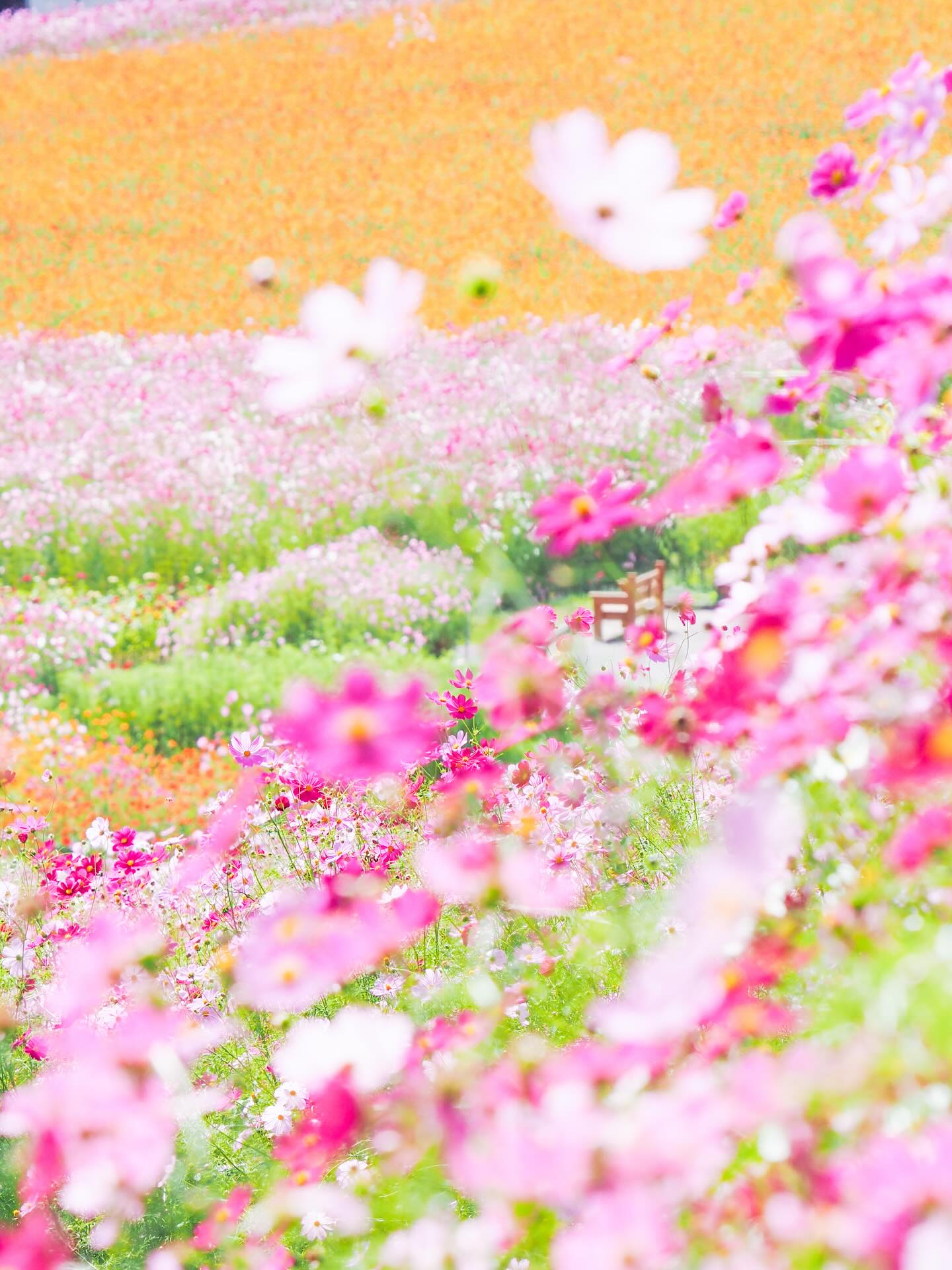 Instagramキャンペーン2025 最優秀賞