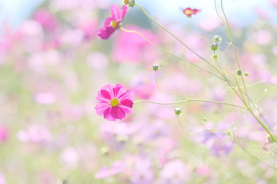 Instagramキャンペーン2025 優秀賞